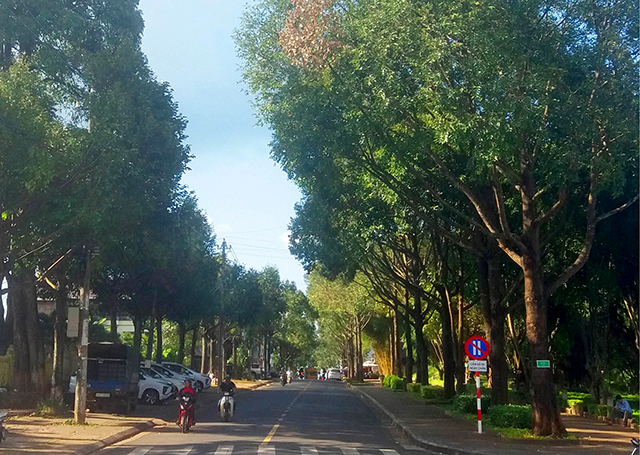 Tây Nguyên mùa nắng nhẹ