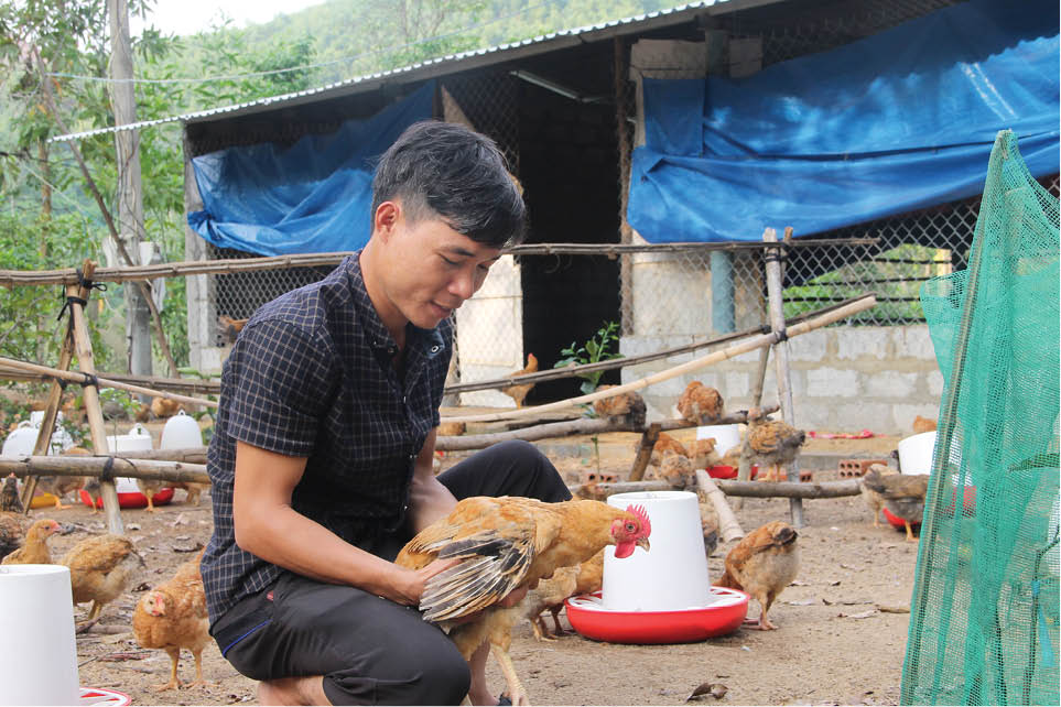 9X mê nông nghiệp