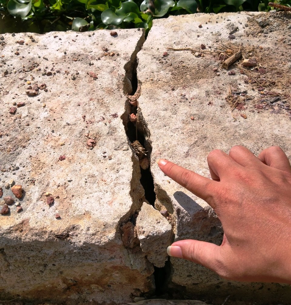 Kiểm tra, tìm nguyên nhân kè Hói Rột bị nứt