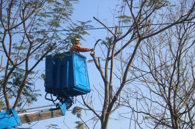 Điện lực tỉnh xử lý nhanh các phản ánh hiện trường