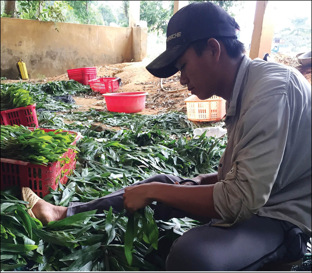 Thanh niên xung kích phát triển kinh tế