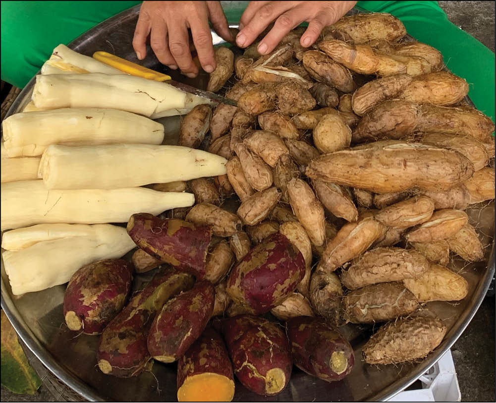 Cuối mùa khoai từ