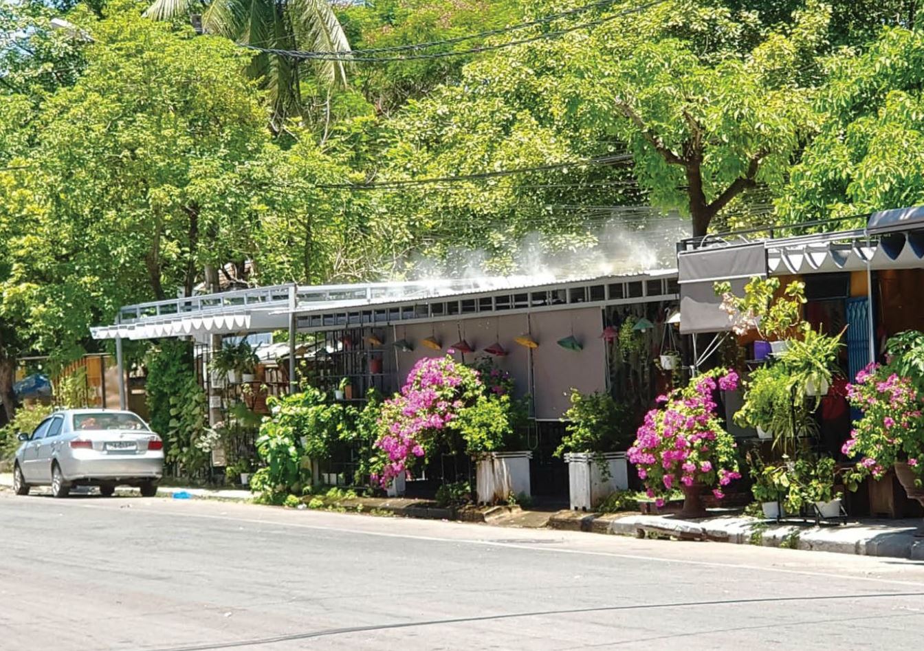 Nỗi thất vọng mang tên… đường sách