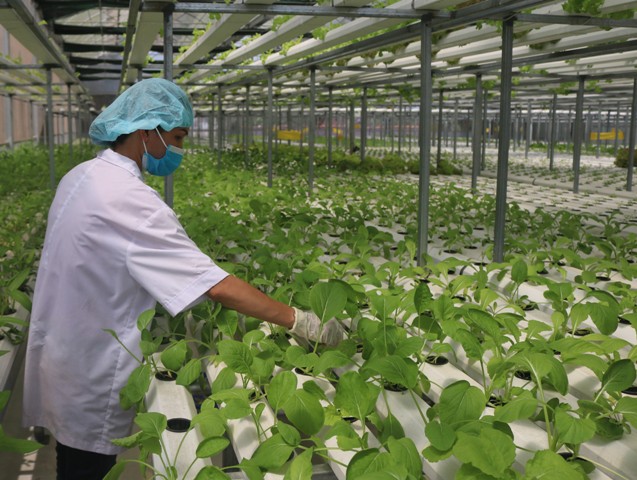 Promoting application of technology 4 0 for socio-economic development in Hue