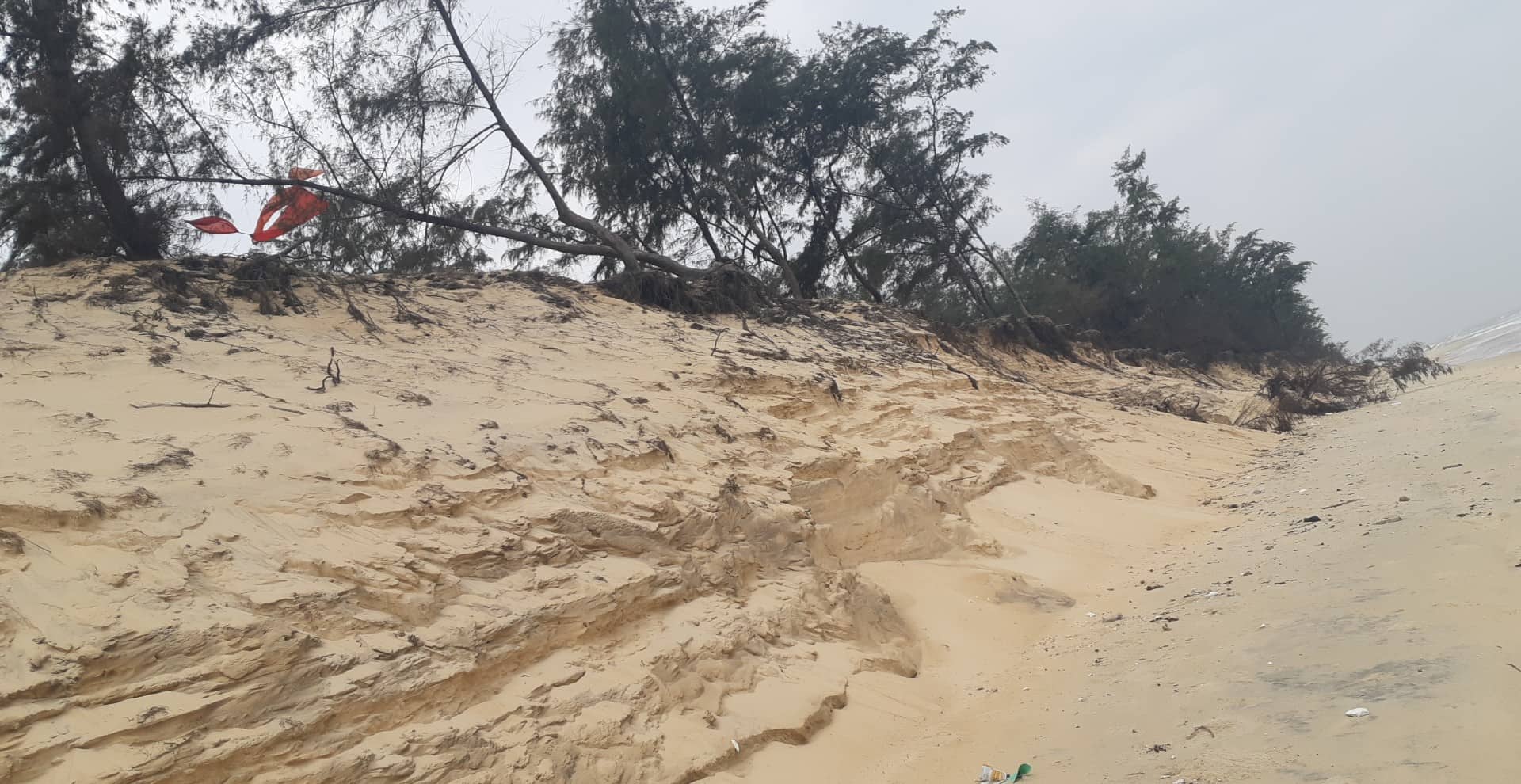 Biển Phú Thuận lại bị xâm thực