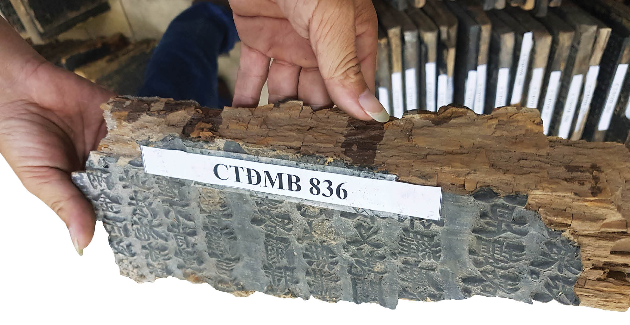 Gian nan đường đi mộc bản