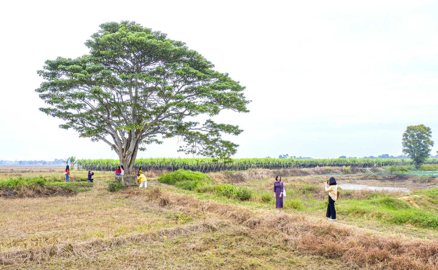 Vì sao đạo diễn Victor Vũ chọn cây cô đơn ở làng Hà Cảng