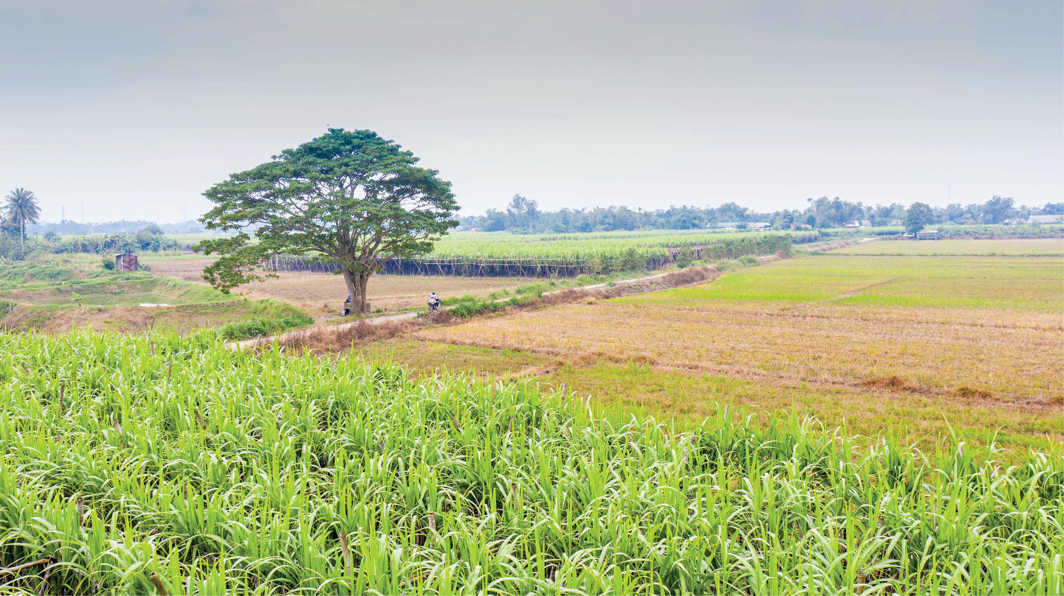 Lãng mạn bối cảnh phim “Mắt biếc”