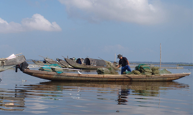 Nạn ngư tặc vẫn dai dẳng trên vùng đầm phá