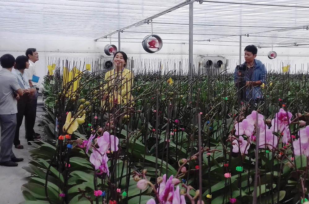 “Nữ hoàng” vào vụ tết