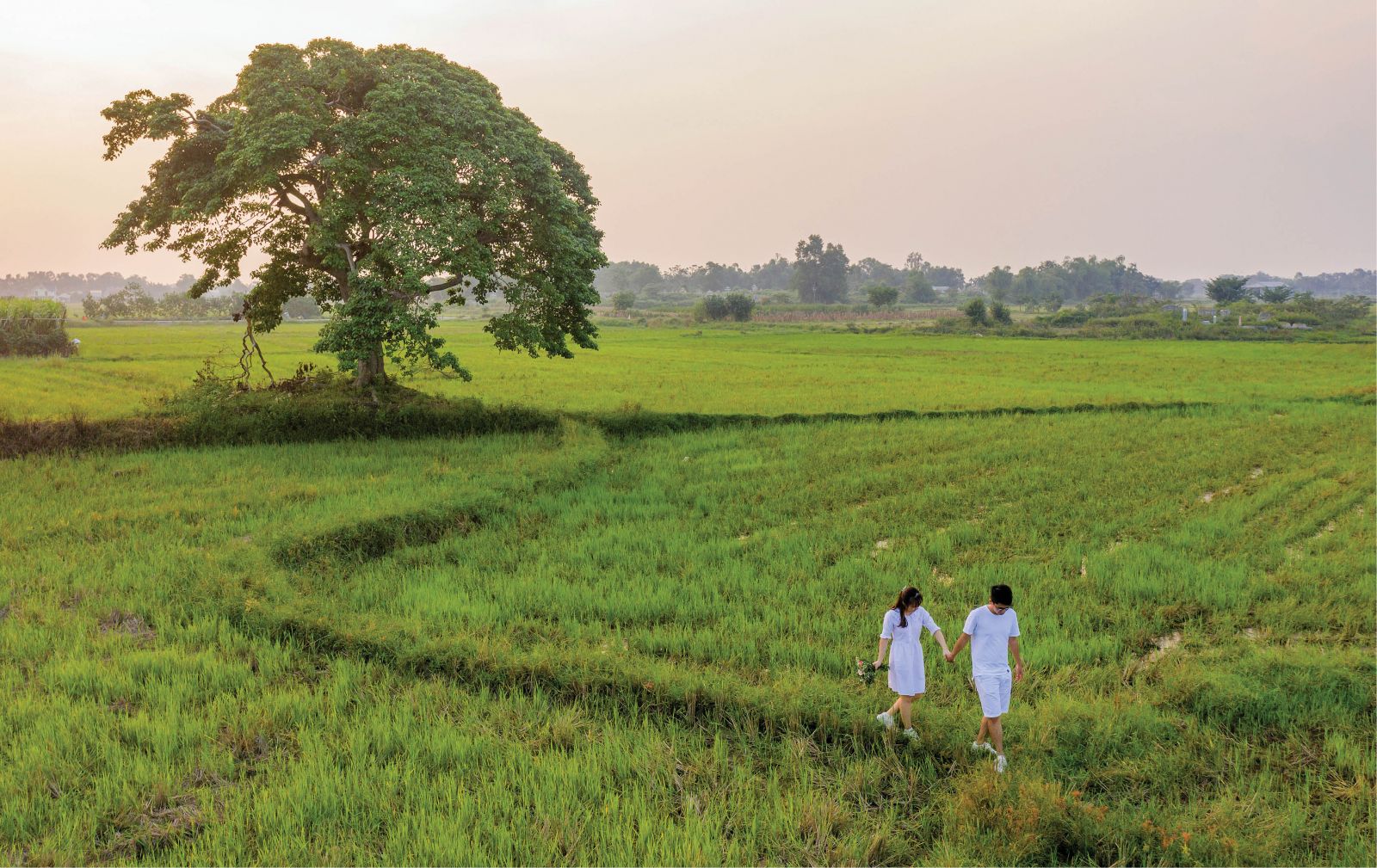Extending Dreamy Eyes