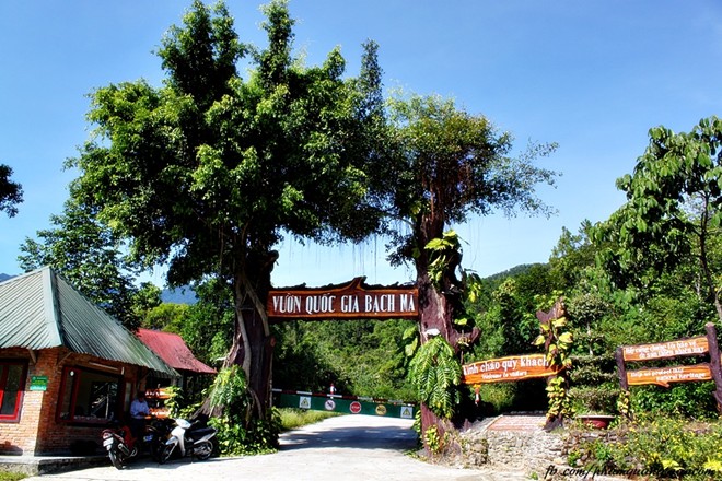More than 270 species of butterflies in three special-use forests in Hue