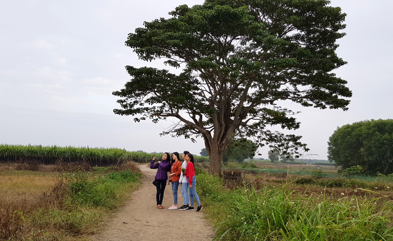 Travel businesses survey a number of filming locations of the Dreamy Eyes movie