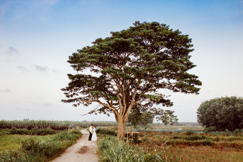 “Mắt biếc” sẽ giúp Huế thu hút khách trong dịp Tết Dương lịch 2020