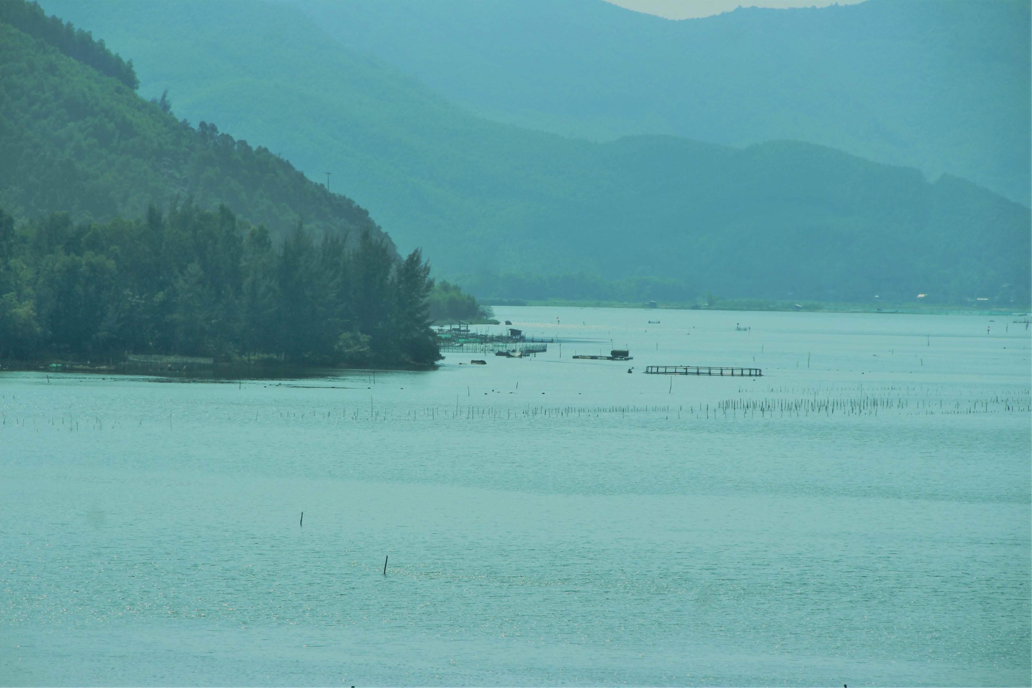 Đam mê với cá mú khổng lồ