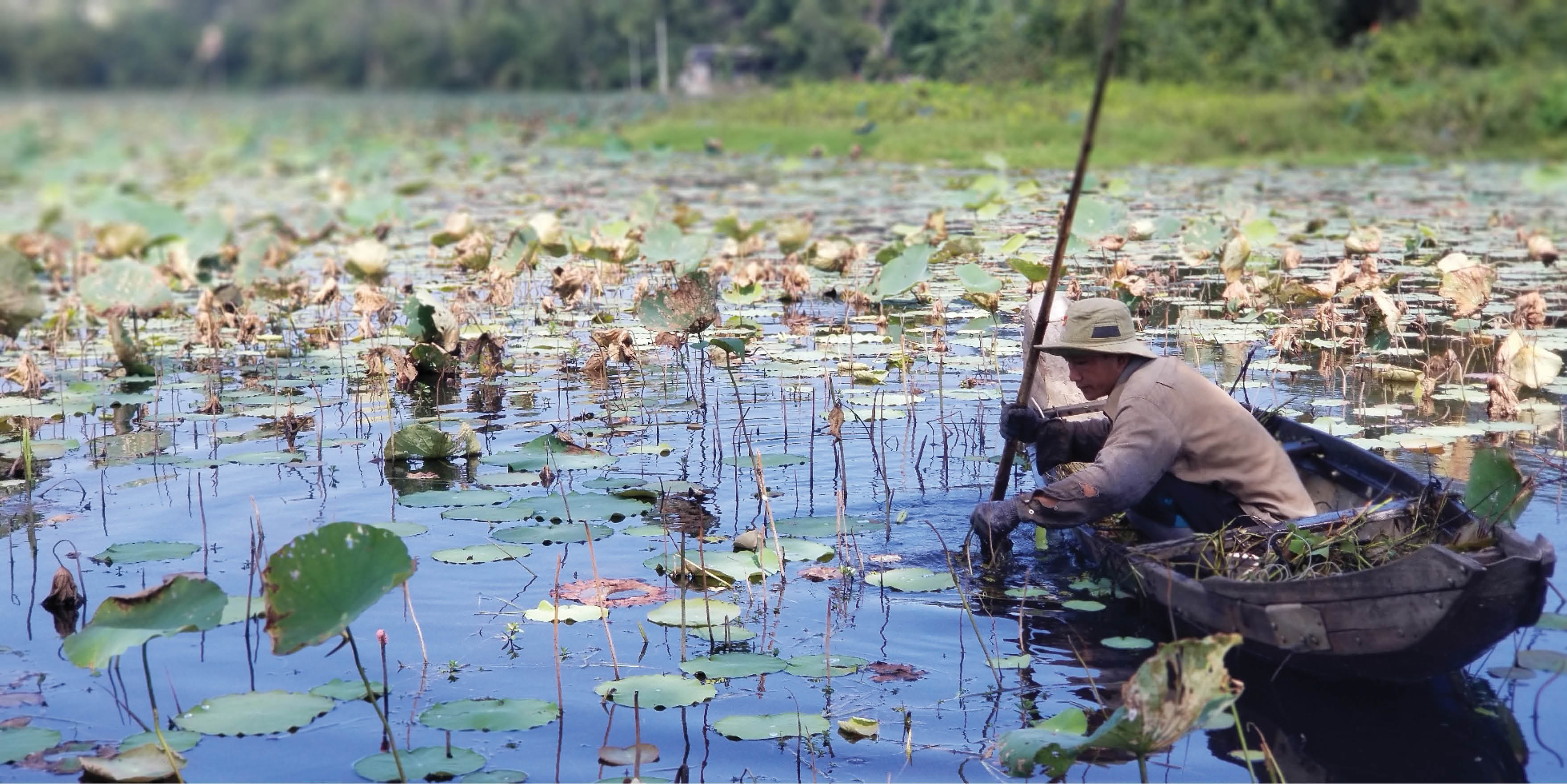 Huyền sử khe Long