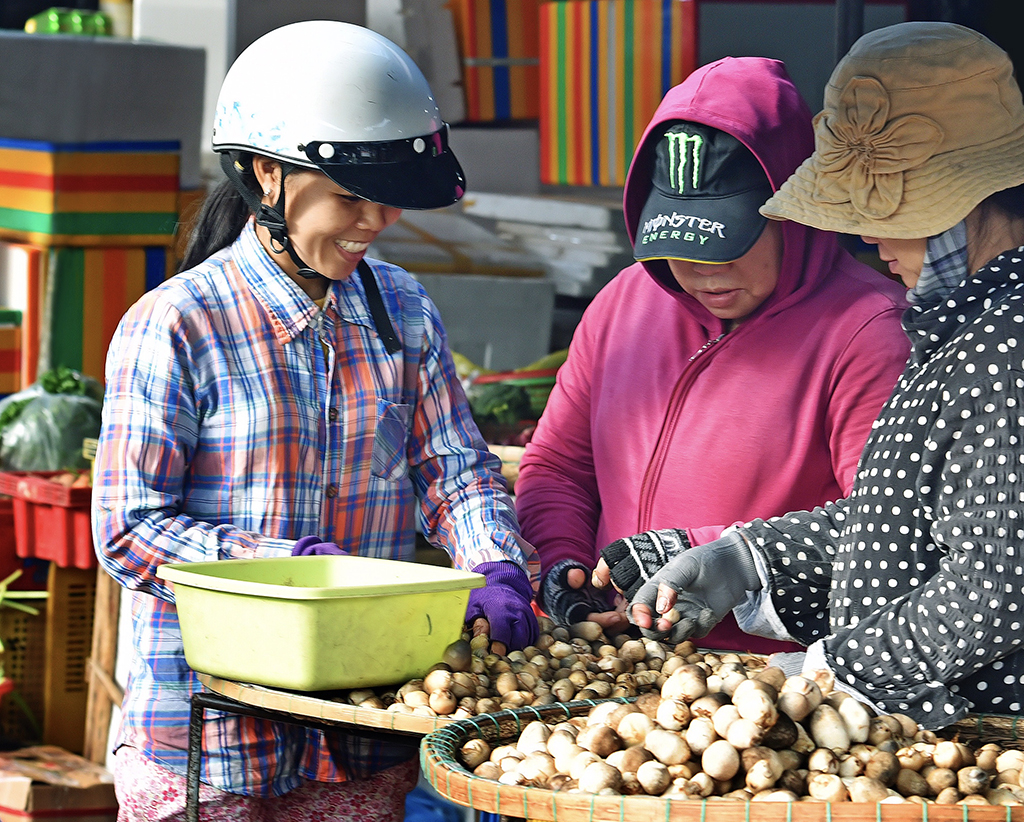 Mát lành nấm rơm