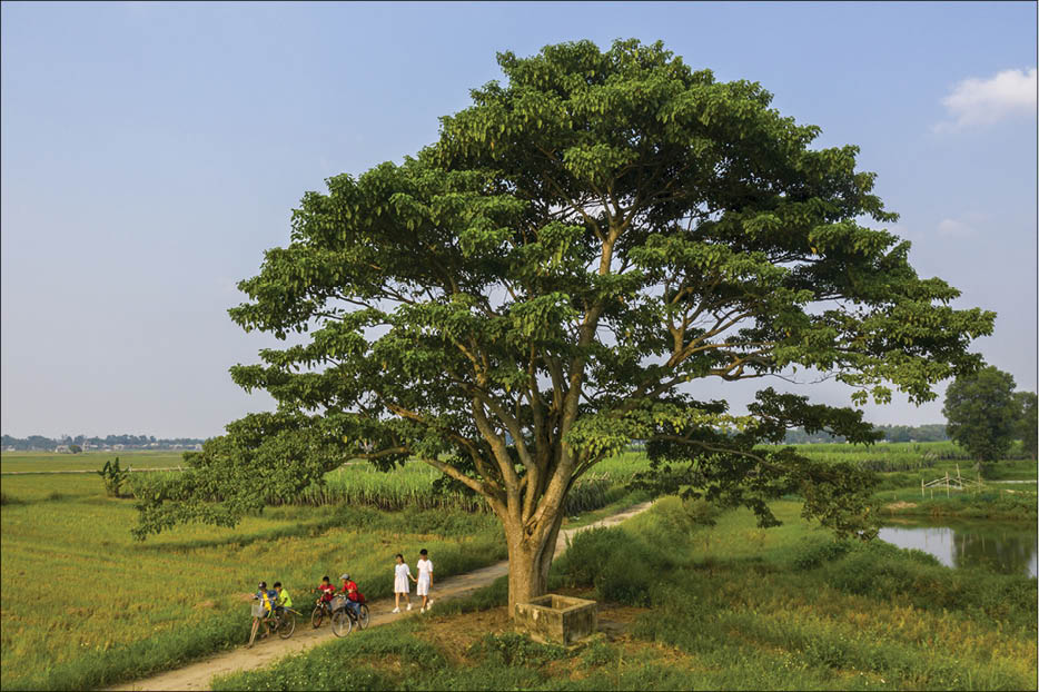 With a vision, Hue will become a true film studio