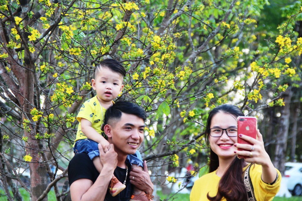 Hào hứng với công viên hoàng mai nở rộ