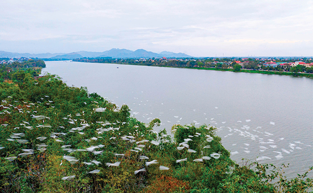 Một chỉ thị đầy tính nhân văn