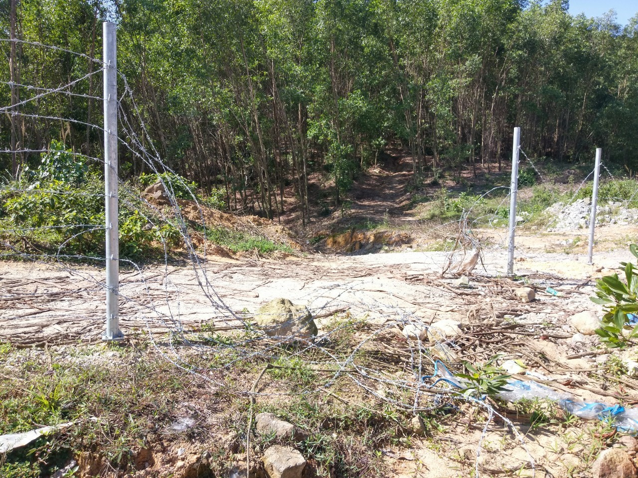 Nhiều đoạn hàng rào an toàn trên cao tốc La Sơn - Túy Loan bị tháo dỡ