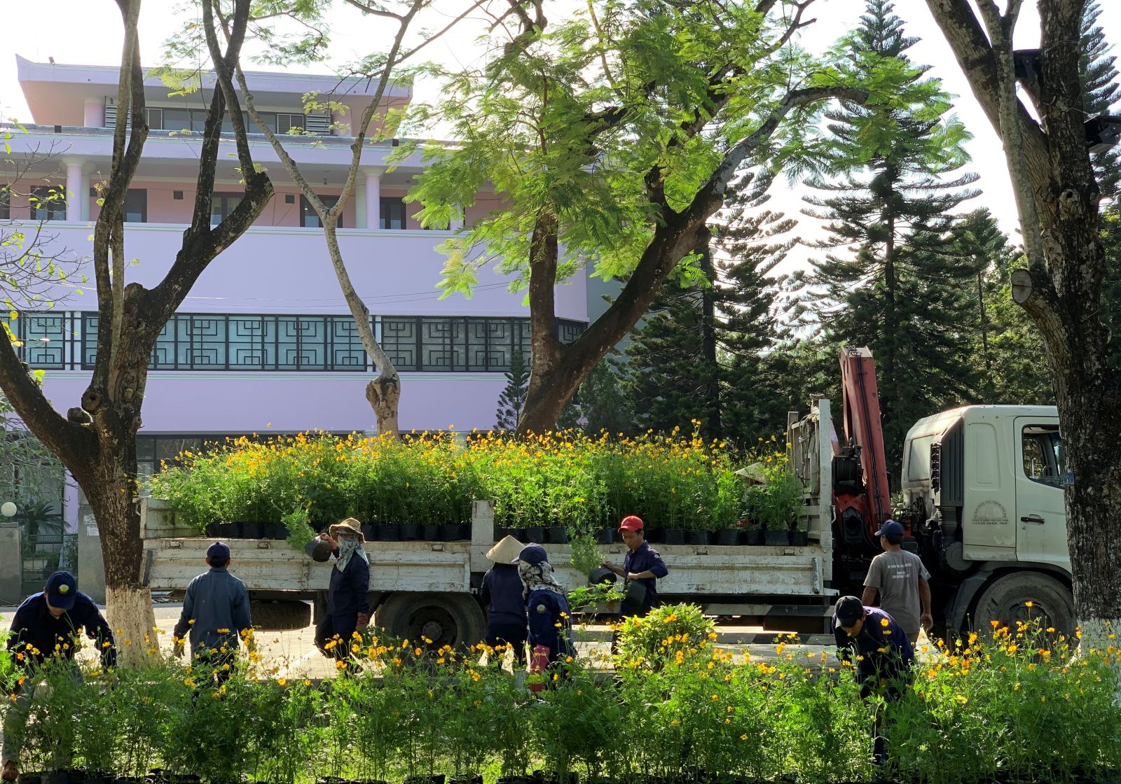 Bustling preparations for the Spring Festival