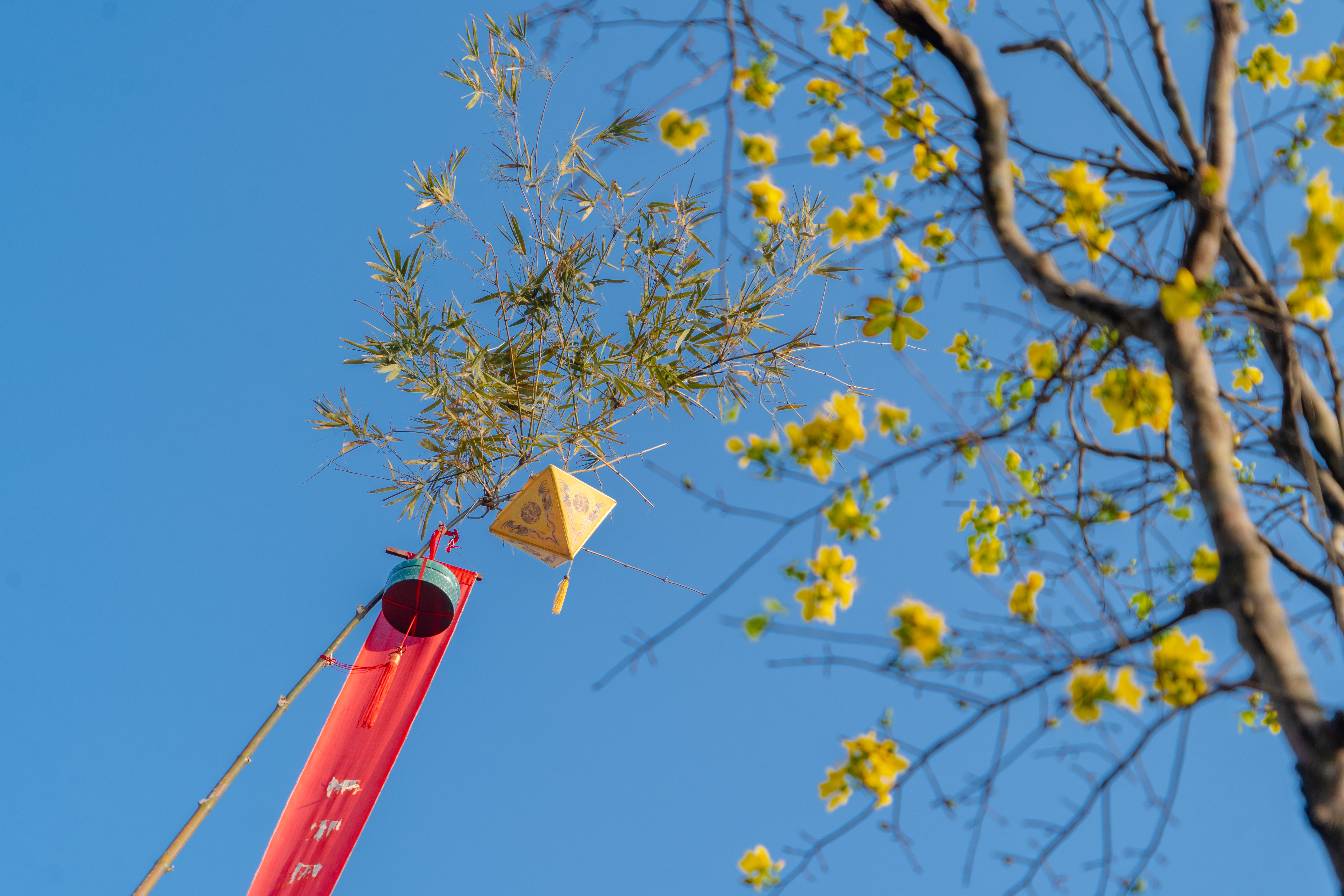 Hoàng cung dựng nêu đón Tết