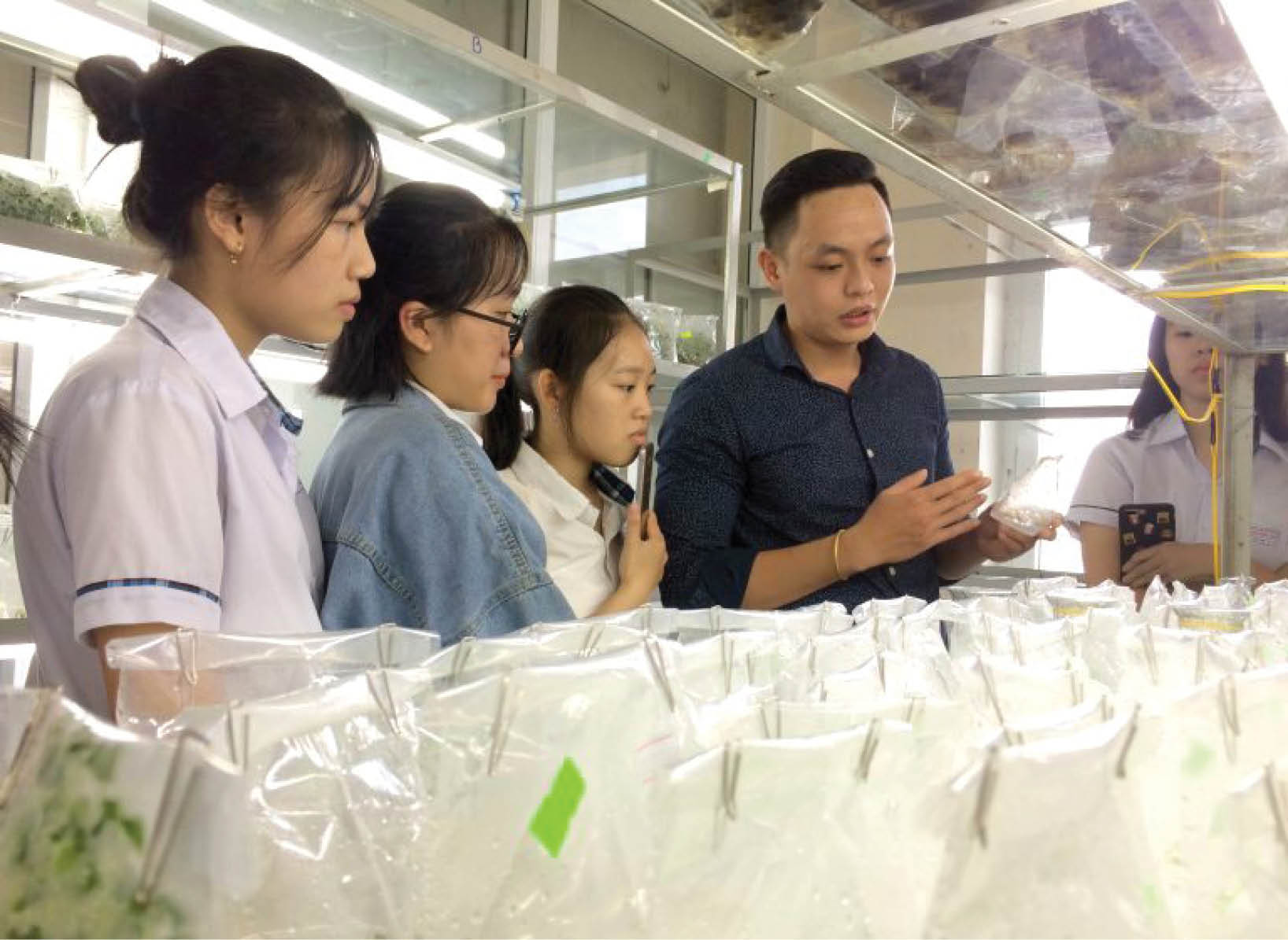 Kết hợp bậc phổ thông và đại học trong giáo dục hướng nghiệp