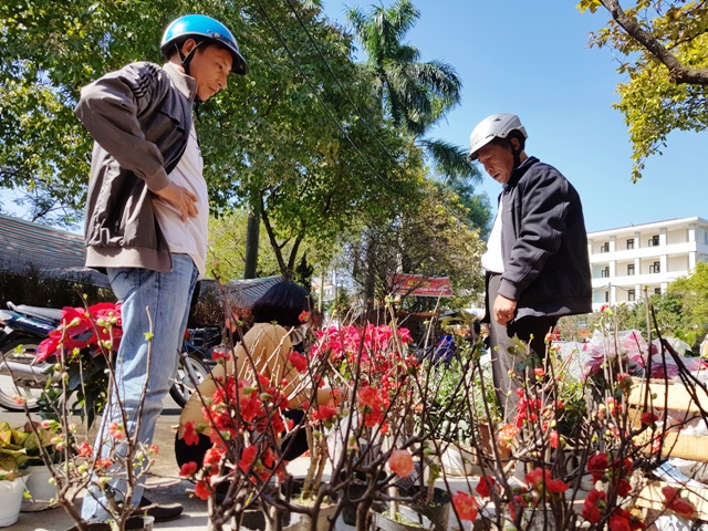 Chợ hoa ngày Tết