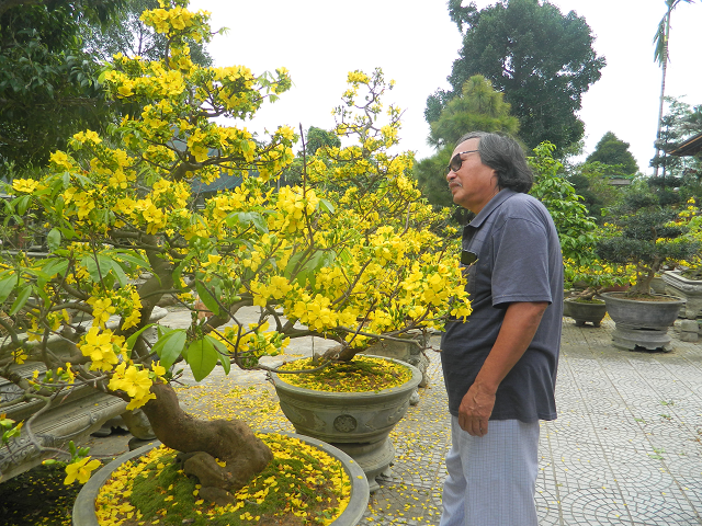 Bên cành mai xuân