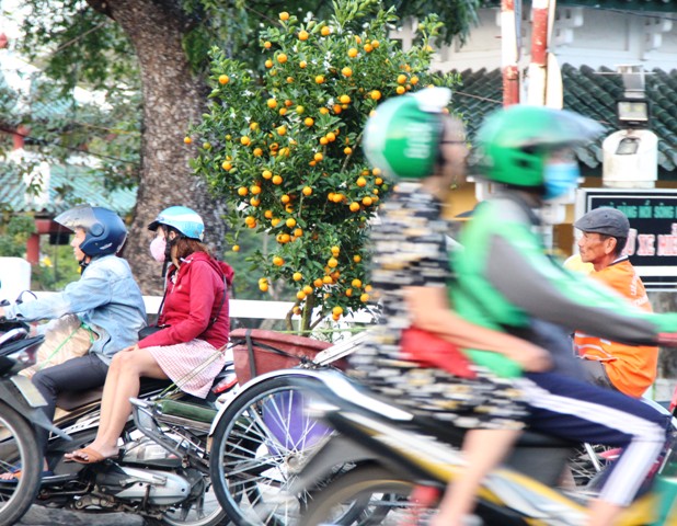 Xe ôm “bội thu” nhờ chở hoa tết