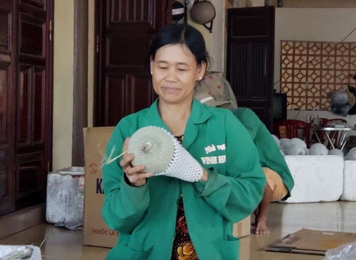 Rau sạch lên ngôi