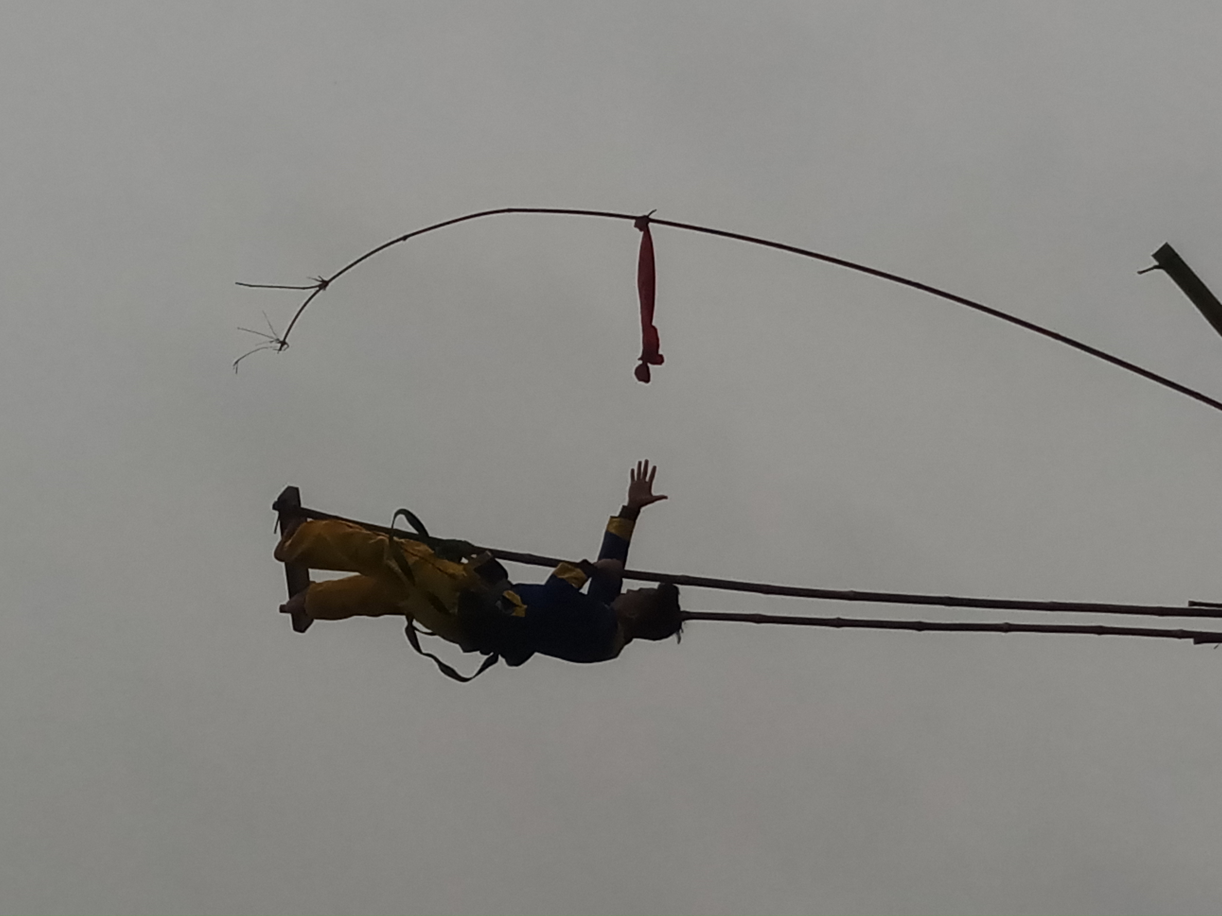 Đu Gia Viên vào hội