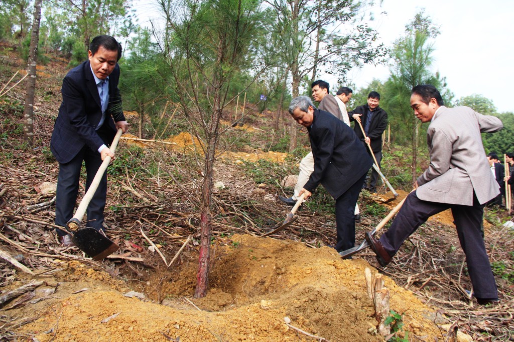 Hơn 7 700 ha rừng được cấp chứng chỉ rừng FSC