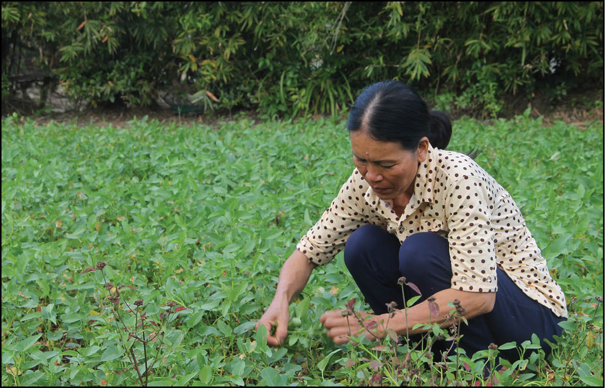 Nghị lực của chị Mỹ