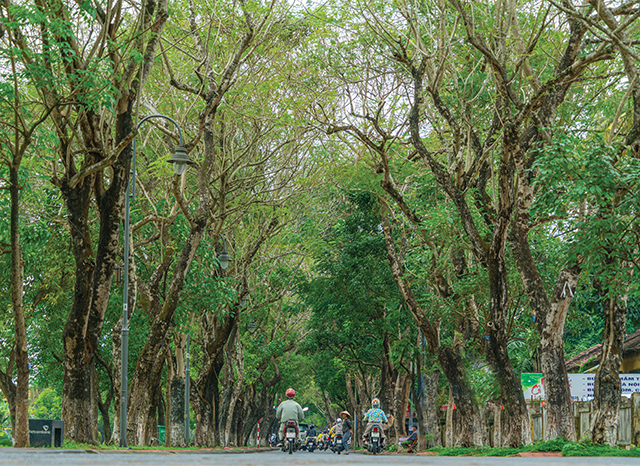 Hue will be entirely green