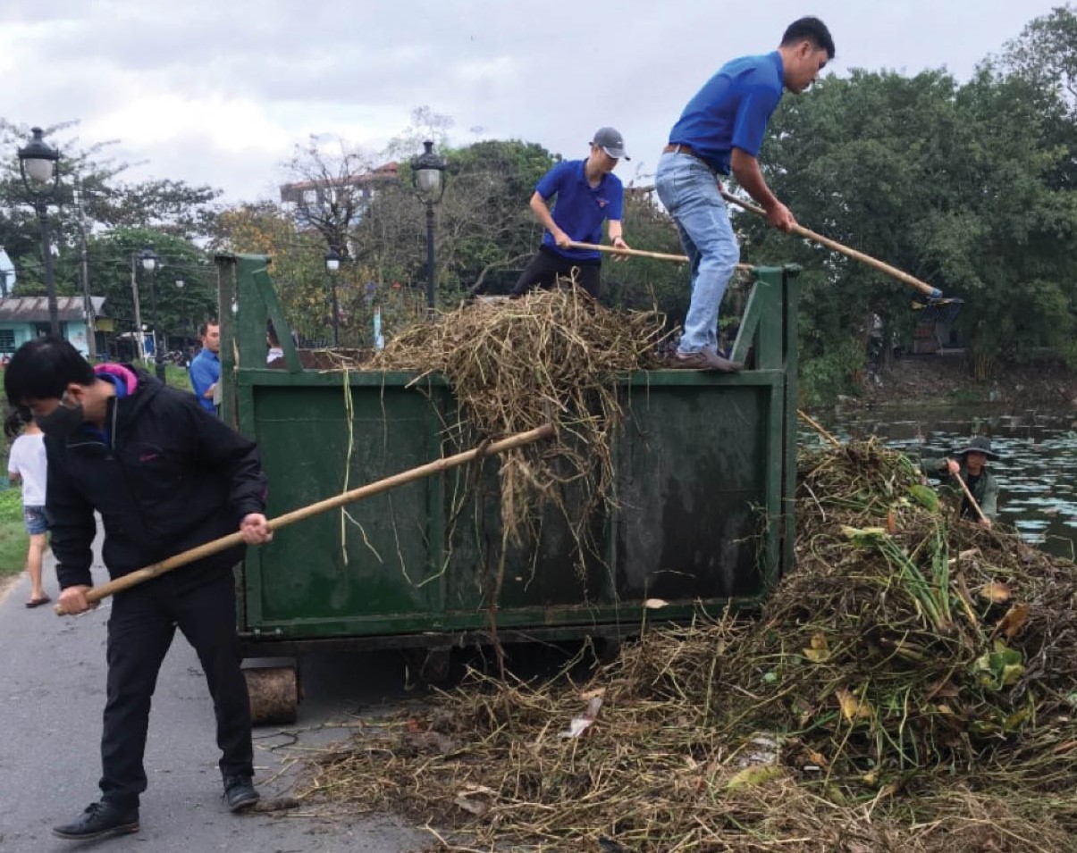 Chỉnh trang hồ Tịnh