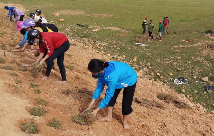 Huyện đoàn A Lưới trồng 800m2 cỏ chống sạt lở