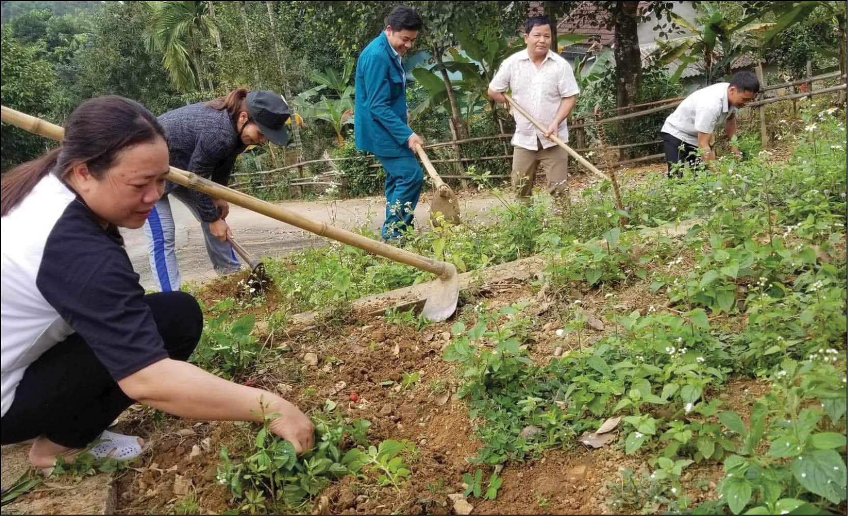 Bền chí, đồng lòng cùng “Ngày Chủ Nhật xanh”