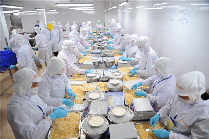 Ngành thủy sản xây dựng nhiều kịch bản ứng phó dịch COVID-19