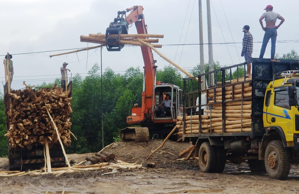 Doanh nghiệp nỗ lực kết nối thị trường mới