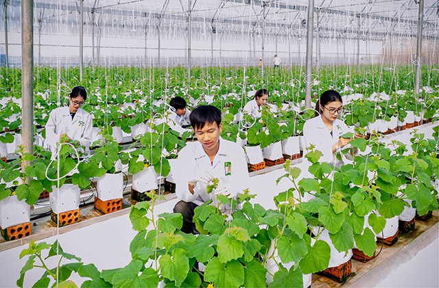 Cây ăn quả, điểm sáng mới trong tái cơ cấu ngành nông nghiệp