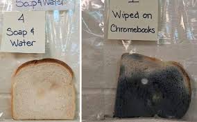 Dạy trẻ rửa tay qua hình ảnh những lát bánh mì