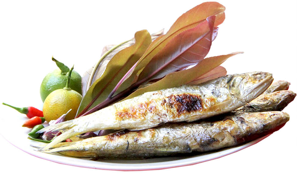 Hairfin anchovy wrapped in freshwater mangrove leaves
