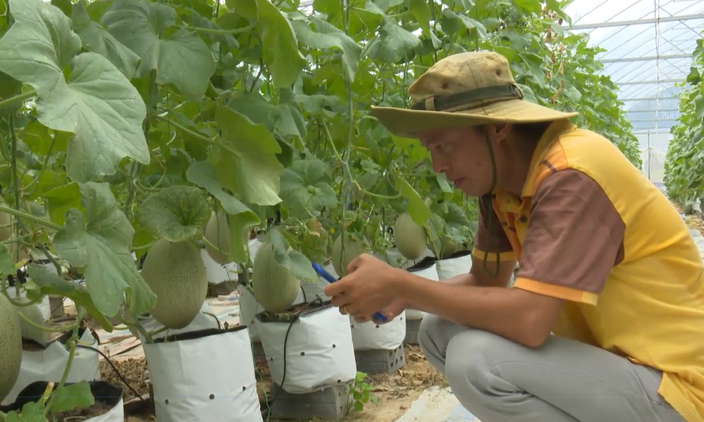 Thủ tướng chỉ thị tạo điều kiện cho doanh nghiệp khởi nghiệp sáng tạo