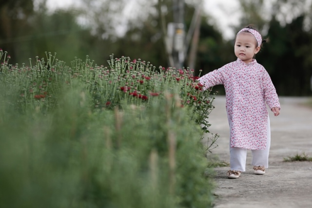 A garden of life blossoms