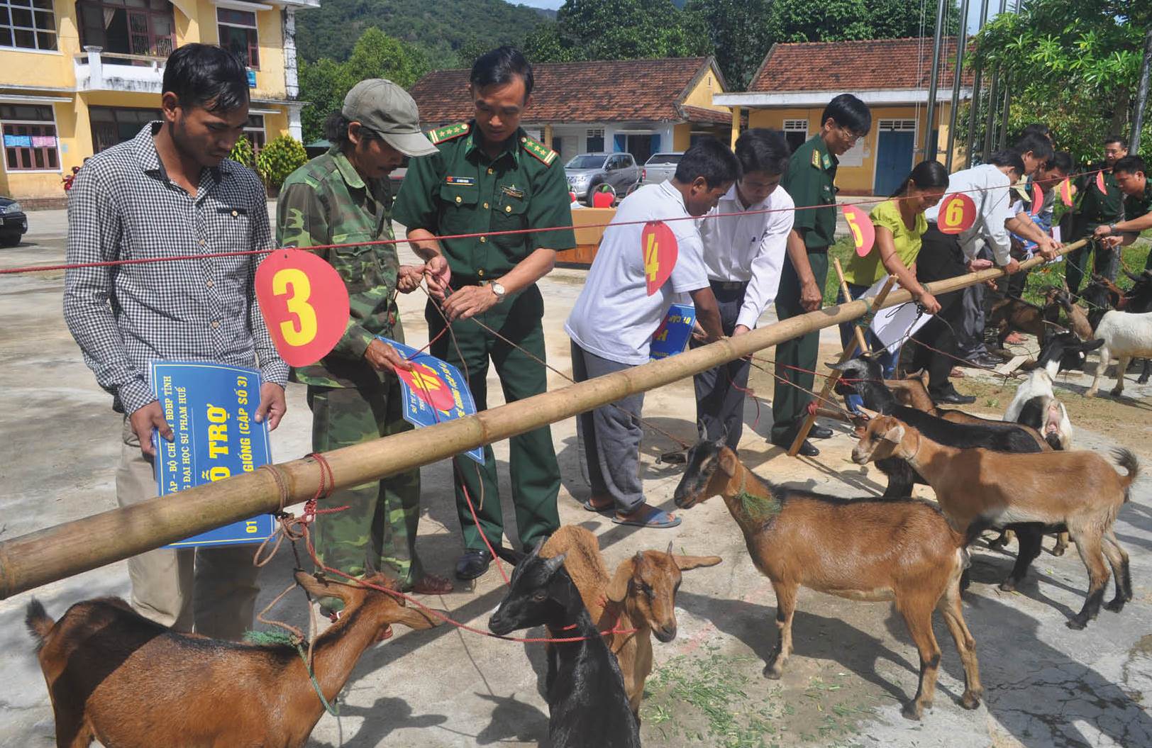 Biên cương ngày nắng mới