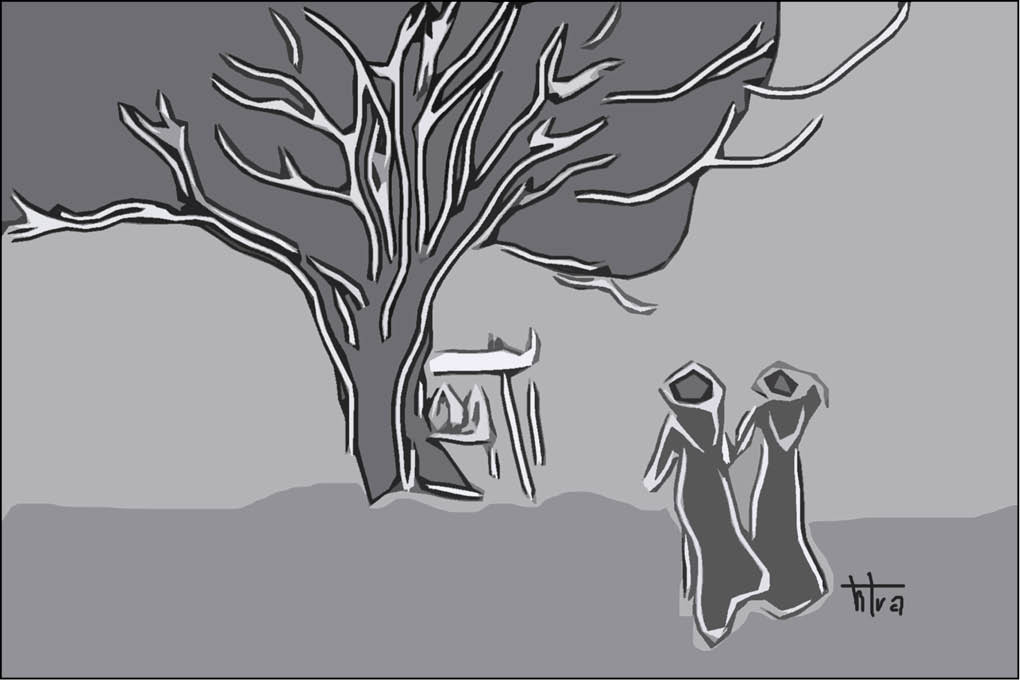 Chim về núi Nhạn