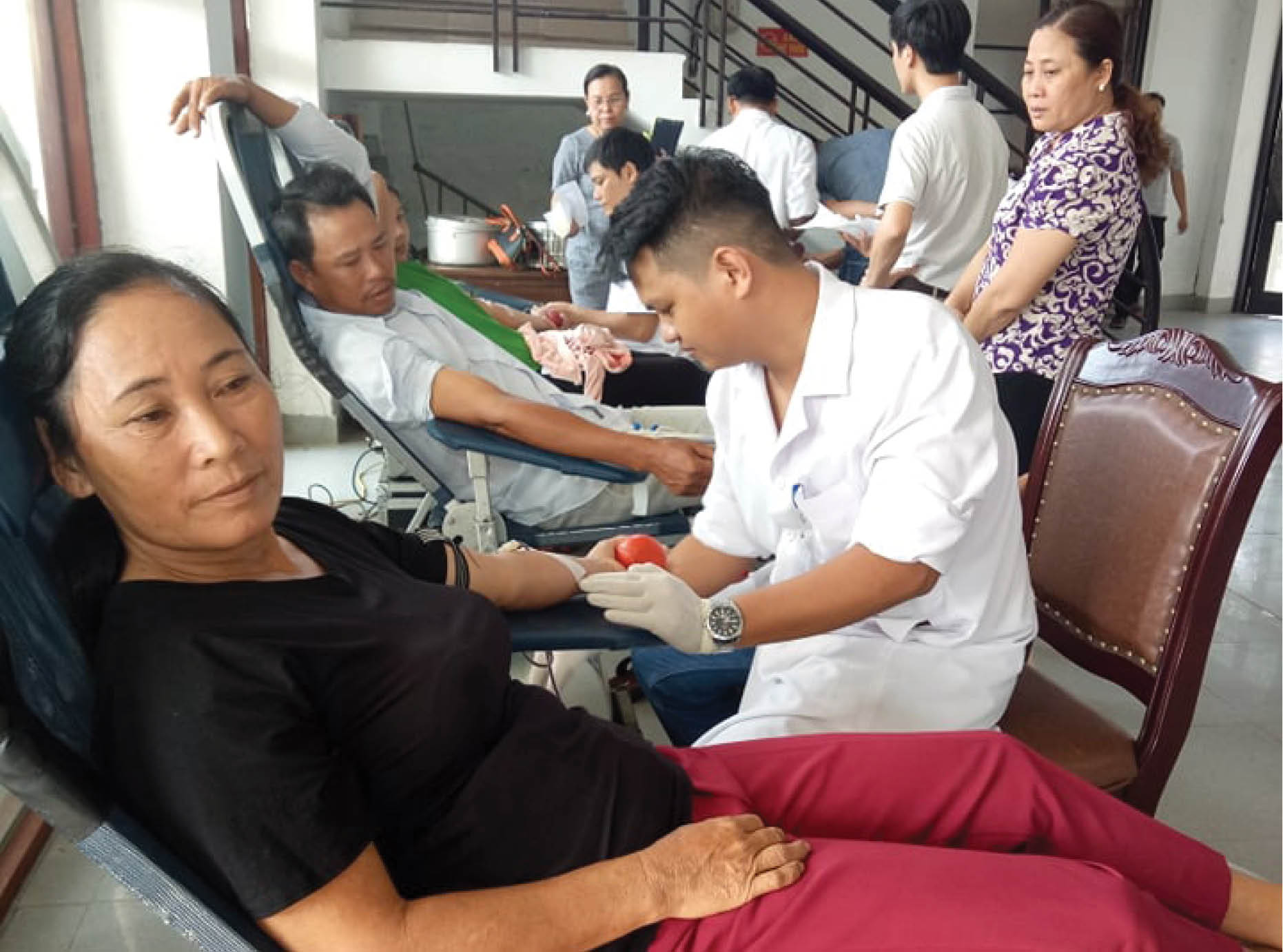 Những trái tim hồng
