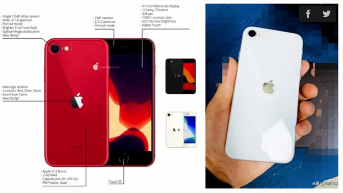 Mặt lưng iPhone 9 lộ diện